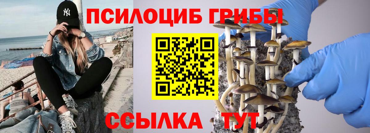 Семилуки  Псилоцибиновые грибы мухоморы  Вход с VPN 